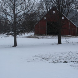 Snowfall on the Farm - Christmas 2015